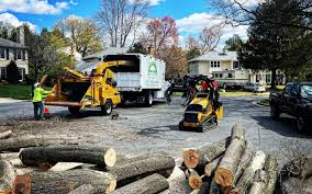 Best Firewood Processing and Delivery  in Soda Springs, ID